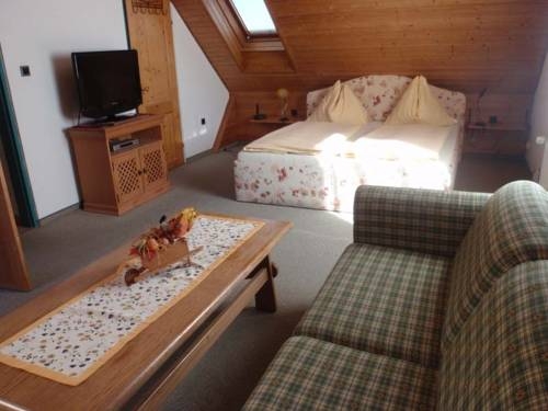 Imagen general del Hotel Themenpension Haus Sanz. Foto 28