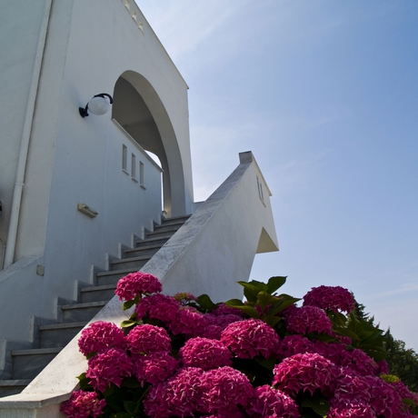 Imagen de los exteriores del Hotel Theo Bungalows. Foto 14
