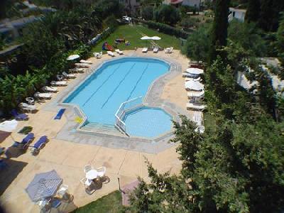 Imagen de la piscina del Hotel Theodorou Beach. Foto 11
