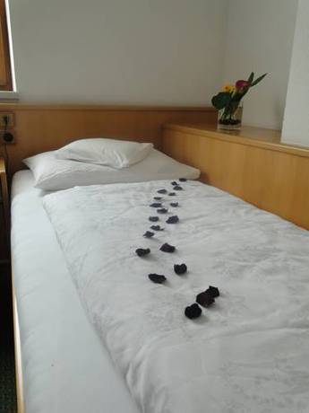 Imagen de la habitación del Hotel Theresia, Ramsau im Zillertal. Foto 14