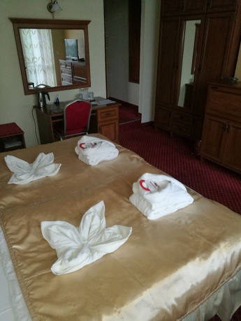 Imagen de la habitación del Hotel Therma. Foto 8