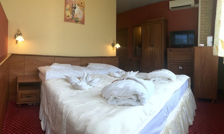 Imagen de la habitación del Hotel Therma. Foto 16