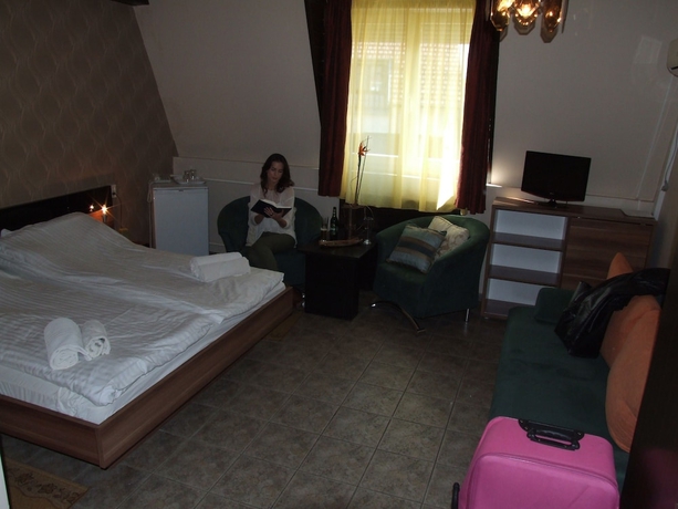 Imagen de la habitación del Hotel Thermal Panzi&oacute; S&aacute;rv&aacute;r. Foto 9