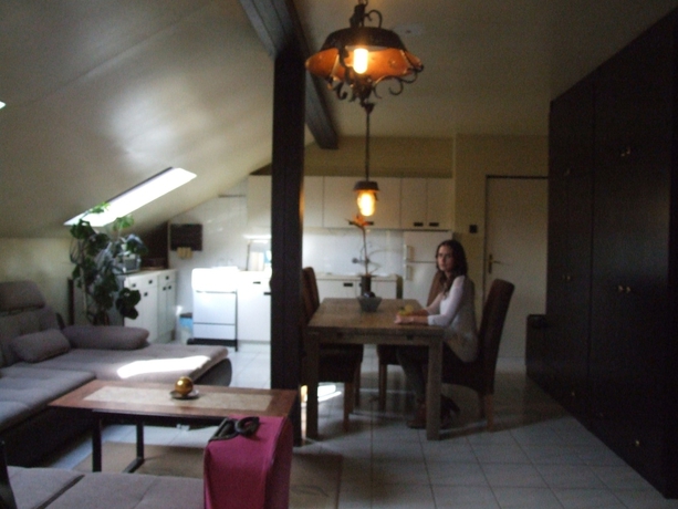 Imagen de la habitación del Hotel Thermal Panzi&oacute; S&aacute;rv&aacute;r. Foto 10