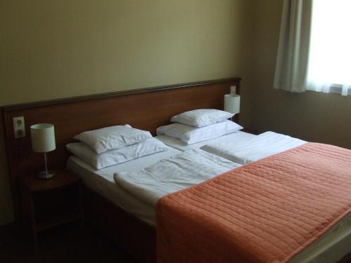 Imagen de la habitación del Hotel Thermal Park Egerszal&oacute;k. Foto 8