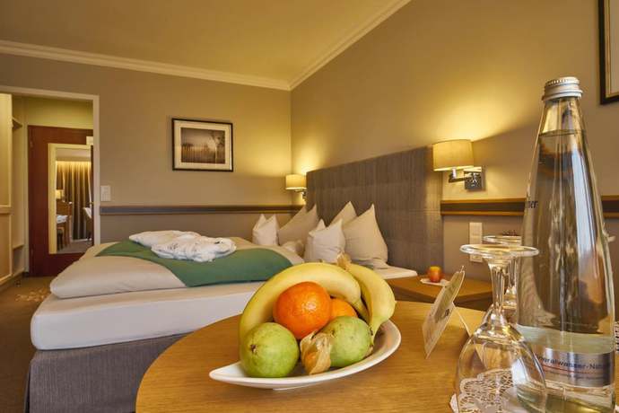 Imagen de la habitación del Hotel Thermenhotel Apollo. Foto 17