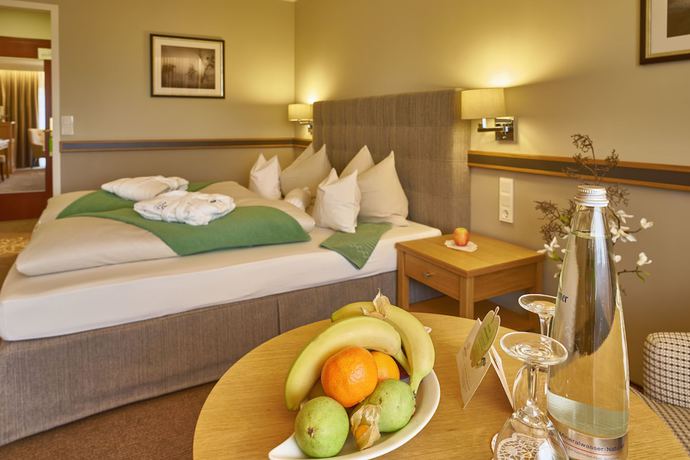 Imagen de la habitación del Hotel Thermenhotel Apollo. Foto 18