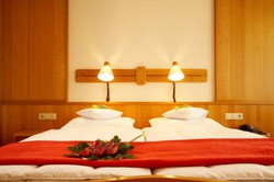 Imagen general del Hotel Thermenhotel Gass. Foto 3