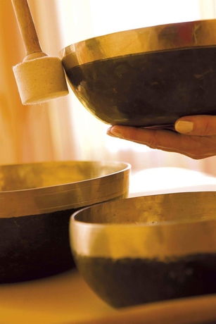 Imagen general del Hotel Thermenhotel Royal. Foto 5