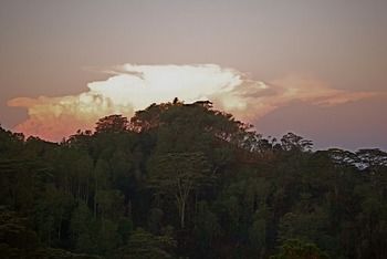 Imagen de los exteriores del Hotel Theva Residency. Foto 4