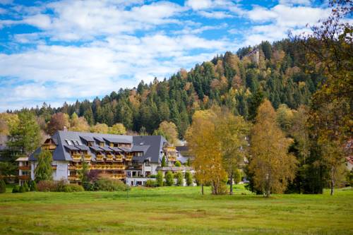 Imagen general del Hotel Thomahof. Foto 1
