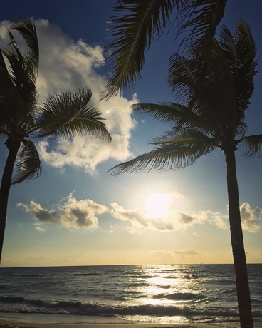 Imagen de los exteriores del Hotel Thompson Beach House. Foto 10