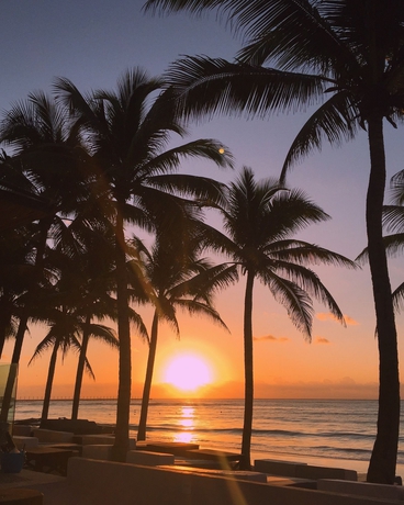 Imagen de los exteriores del Hotel Thompson Beach House. Foto 11