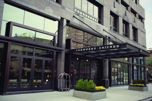 Imagen general del Hotel Thompson Chicago, Part Of Hyatt. Foto 2