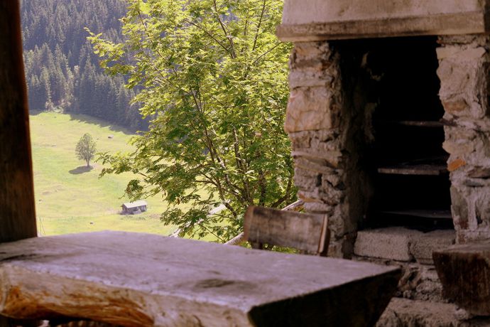 Imagen general del Hotel Thomsn Alpine Rock. Foto 4