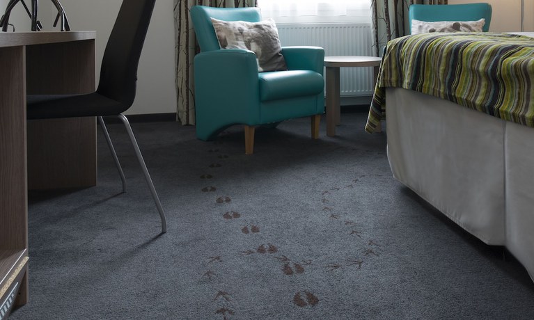 Imagen de la habitación del Hotel Thon Bj&oslash;rneparken. Foto 6