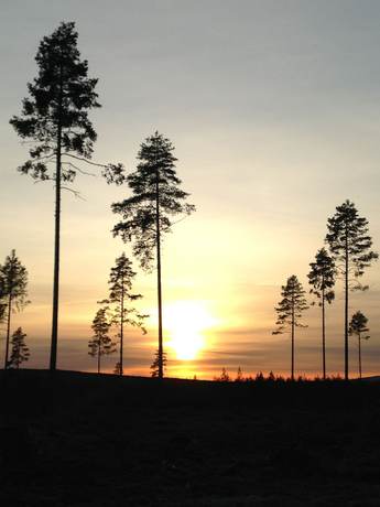 Imagen general del Hotel Thon Partner Elgstua. Foto 4