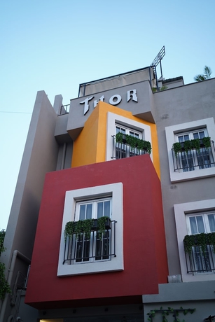 Imagen de los interiores del Hotel Thor. Foto 16