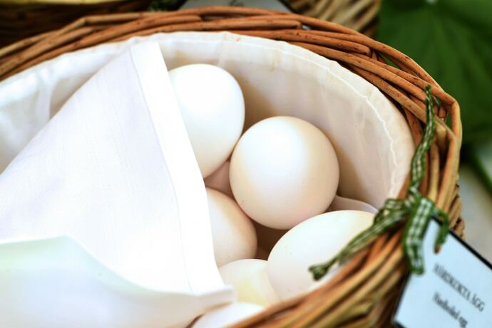 Imagen del bar/restaurante del Hotel Thorskogs Slott. Foto 10