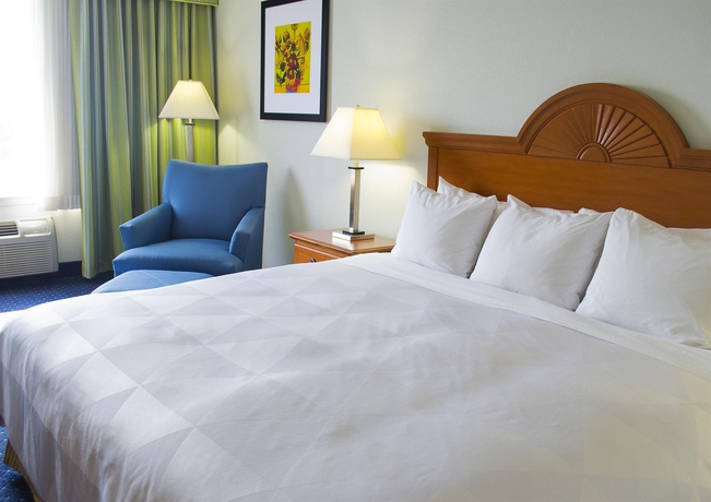 Imagen de la habitación del Hotel Thousand Hills Resort. Foto 7