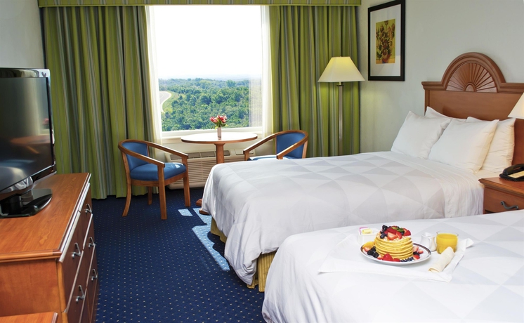 Imagen de la habitación del Hotel Thousand Hills Resort. Foto 9