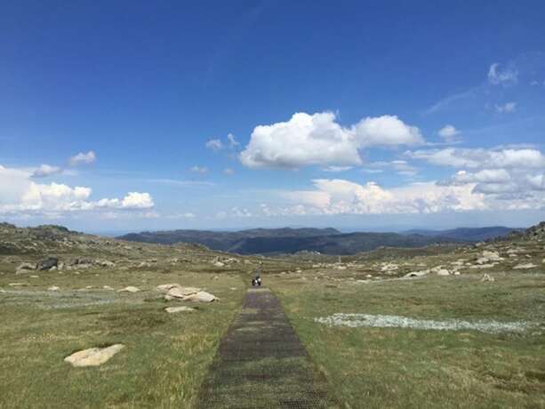 Imagen general del Hotel Three Bears 2. Foto 8