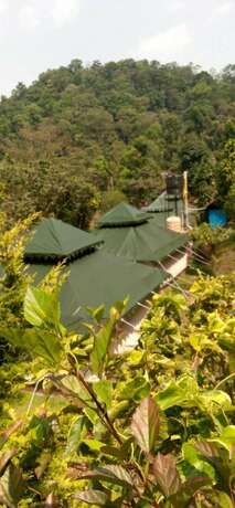 Imagen general del Hotel Three Hills Coorg. Foto 6