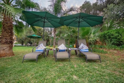 Imagen general del Hotel Three Oaks And An Aloe Boutique. Foto 5