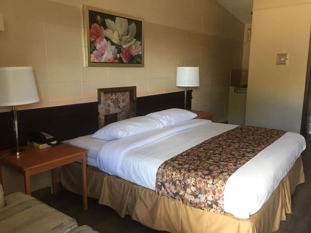 Imagen de la habitación del Hotel Thriftlodge Edmonton. Foto 6