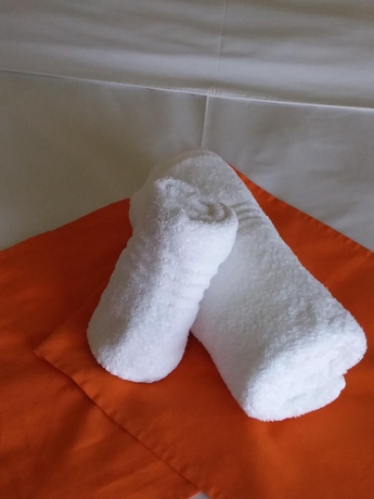 Imagen de la habitación del Hotel Thule. Foto 12