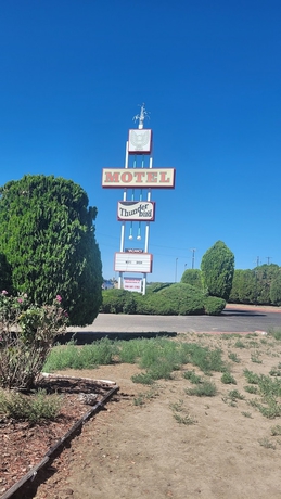 Imagen general del Hotel Thunder Bird Motel. Foto 1