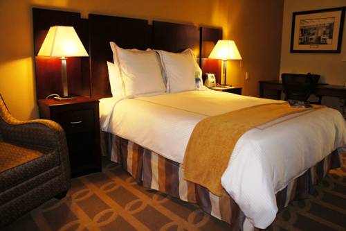 Imagen de la habitación del Hotel Thunderbird Executive Inn & Conference Center. Foto 5
