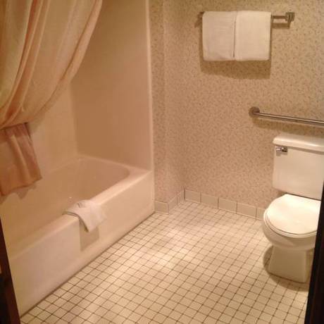 Imagen de la habitación del Hotel Thunderbird Inn, Edgewater Beach. Foto 16