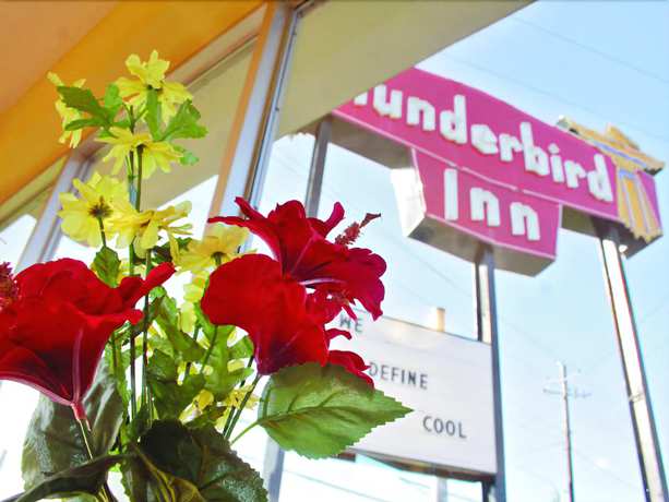 Imagen general del Hotel Thunderbird Inn, Savannah. Foto 3