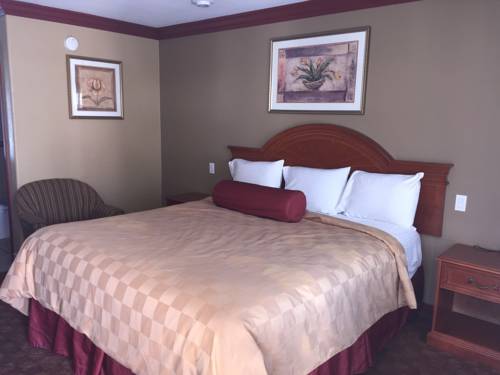 Imagen de la habitación del Hotel Thunderbird Lodge, Colton. Foto 8