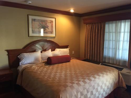 Imagen de la habitación del Hotel Thunderbird Lodge, Colton. Foto 16