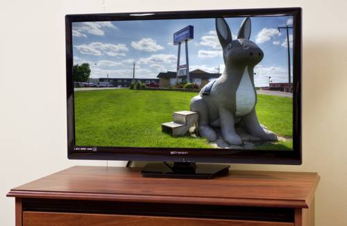 Imagen de la habitación del Hotel Thunderbird Lodge. Foto 3