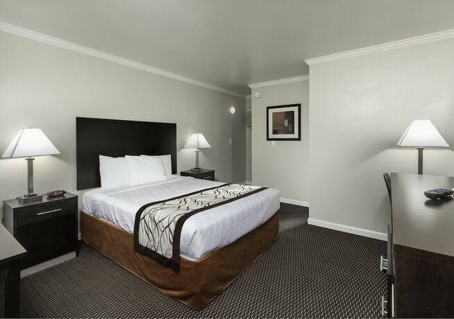 Imagen general del Hotel Thunderbird Lodge, Redding. Foto 6
