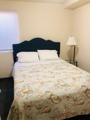 Imagen de la habitación del Hotel Thunderbird Motel. Foto 5