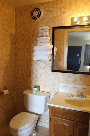 Imagen de la habitación del Hotel Thunderbird Motel. Foto 3