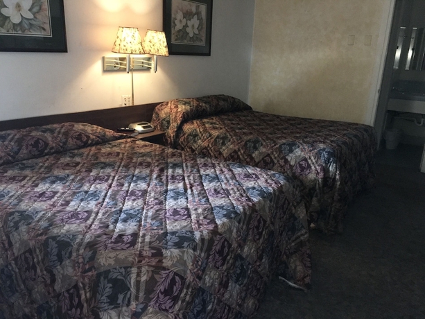 Imagen de la habitación del Hotel Thunderbird Motel. Foto 7