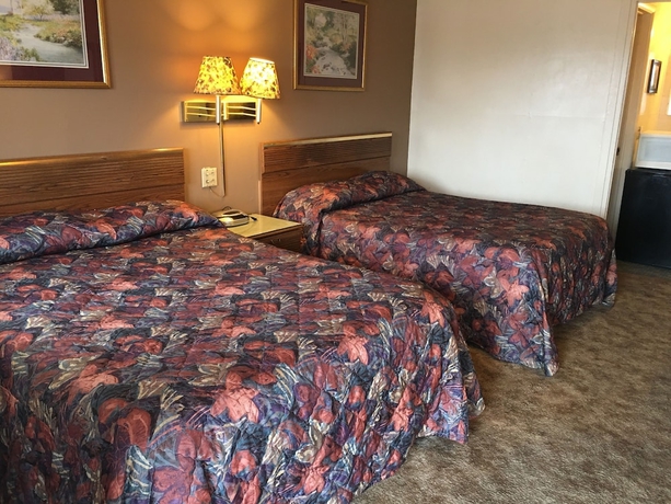 Imagen de la habitación del Hotel Thunderbird Motel. Foto 10