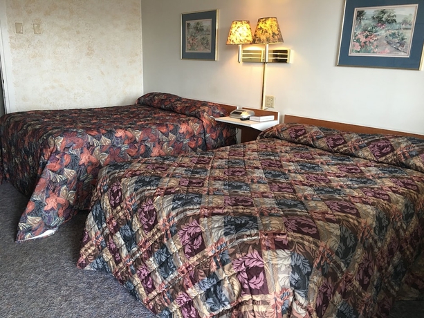 Imagen de la habitación del Hotel Thunderbird Motel. Foto 14