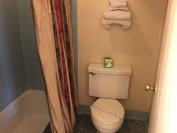 Imagen de la habitación del Hotel Thunderbird Motel. Foto 18