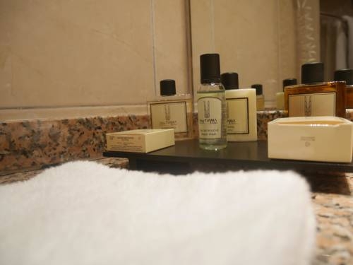 Imagen de la habitación del Hotel Tiama. Foto 8