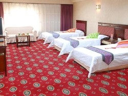 Imagen de la habitación del Hotel Tianzhi Harbin. Foto 4