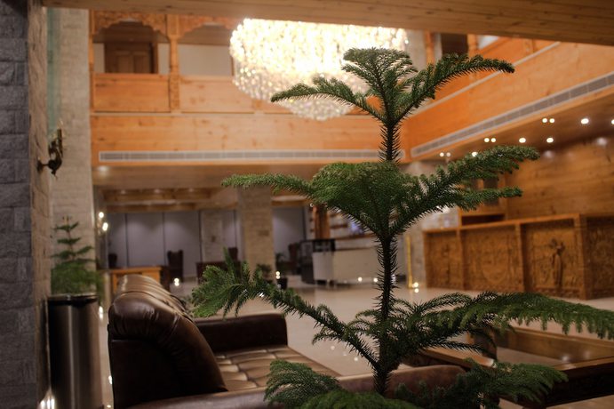 Imagen de los interiores del Hotel Tiaraas and Resorts - A Five Star Luxury Resort Manali. Foto 20