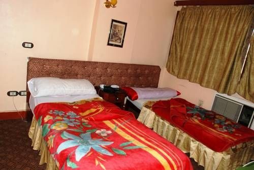 Imagen general del Hotel Tiba Asu&aacute;n. Foto 3