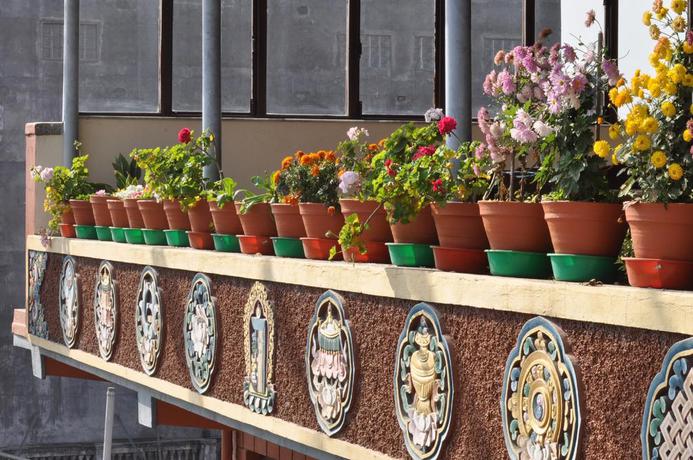 Imagen de los exteriores del Hotel Tibet Guest House, Katmandu. Foto 11