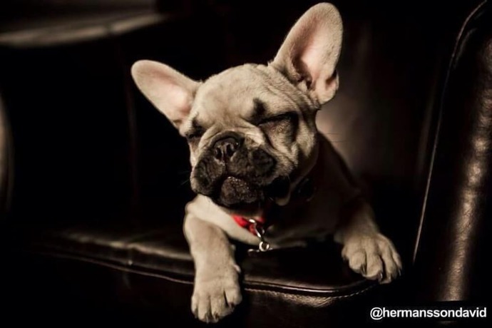 Imagen general del Hotel Tidaholm Stadshotell. Foto 2